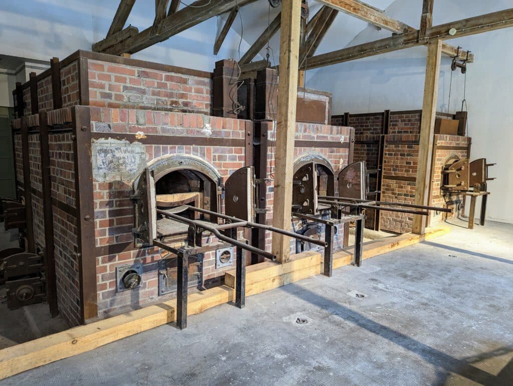 Rechtsextremismus: 6 Prozent wünschen sich autoritäre Diktatur in Deutschland Rechtsextremismus: 6 Prozent wünschen sich autoritäre Diktatur in Deutschland