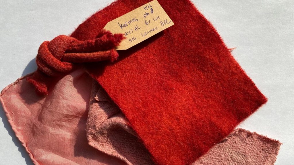 Forschung und Tradition vereint: Die Entdeckung des Scharlachroten Textils im Kontext der Torah Forschung und Tradition vereint: Die Entdeckung des Scharlachroten Textils im Kontext der Torah