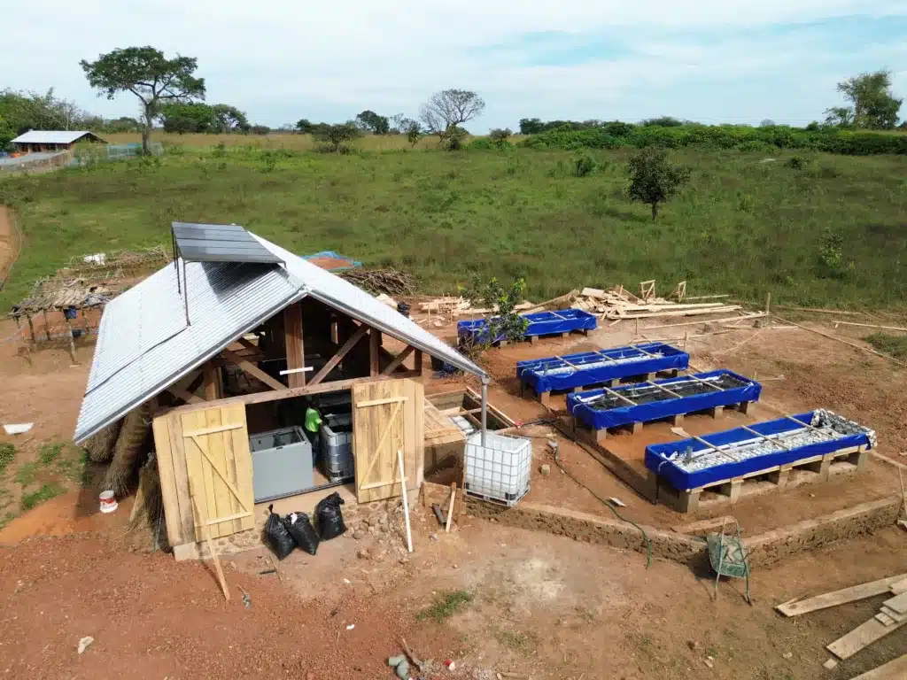 Einladung zum Stammtisch: Wie Aquaponik in Kamerun Hoffnung schenkt