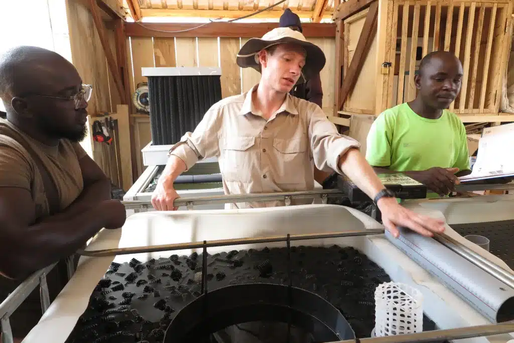 Einladung zum Stammtisch: Wie Aquaponik in Kamerun Hoffnung schenkt