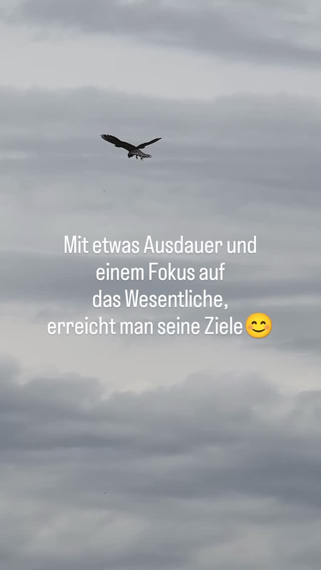 https://www.instagram.com/reel/DX_cnFEMiHg/