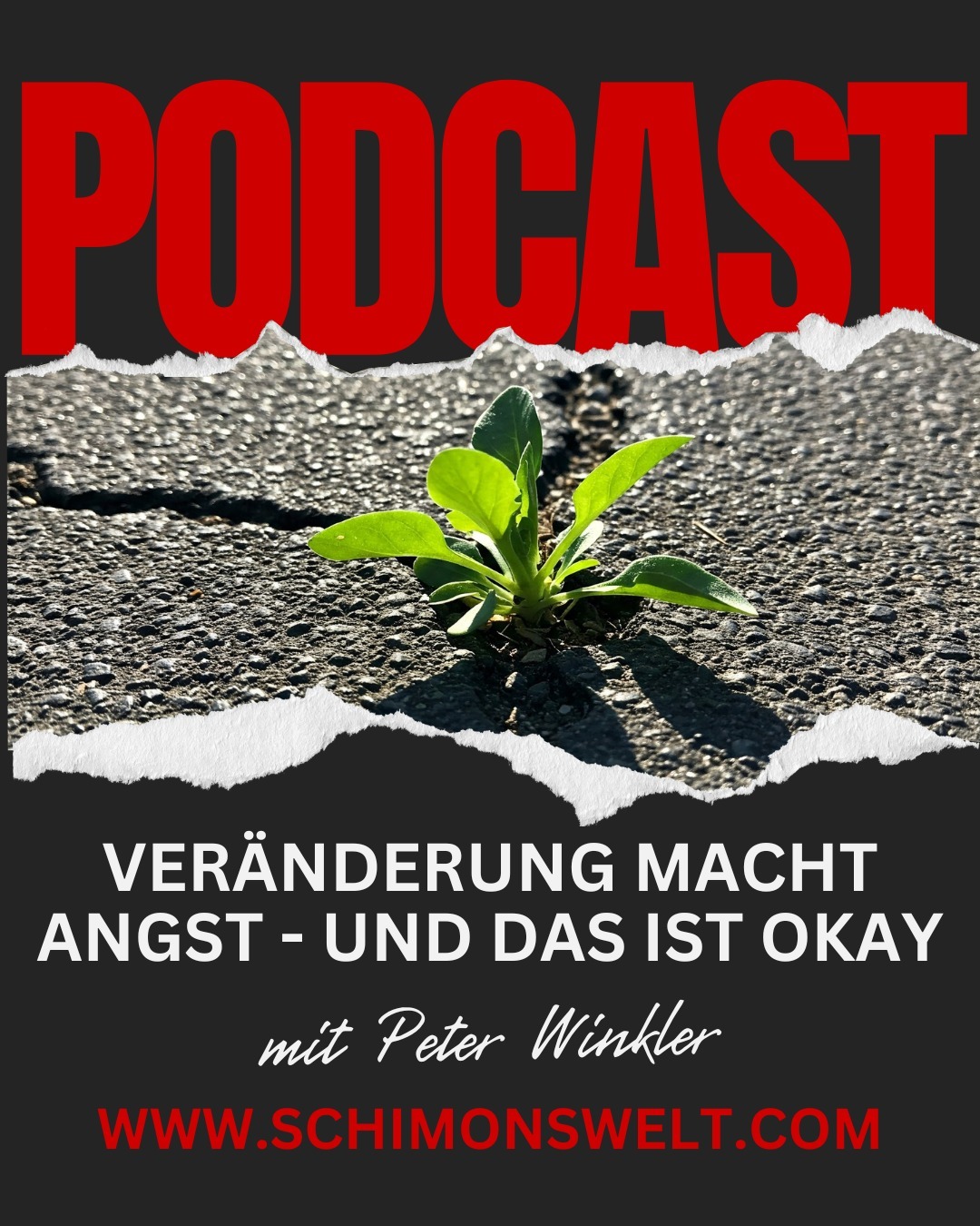 Warum macht uns Veränderung so nervös? Und was steckt wirklich dahinter? In dieser Folge erzähle ich Dir eine persönliche Geschichte über meine eigene Unsicherheit – und was sie mir gezeigt hat. Du wirst verstehen, warum unser Gehirn auf Veränderung mit Angst reagiert – und wie wir trotzdem mutig wachsen können.