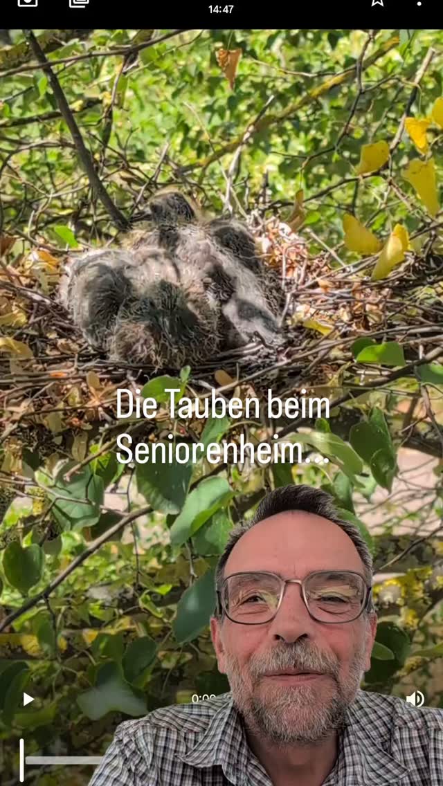 https://www.instagram.com/reel/DasZAdGMsFk/