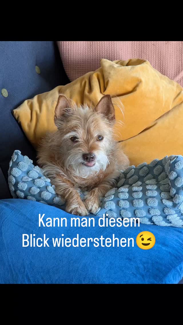 https://www.instagram.com/reel/DZpw8kYMsK6/