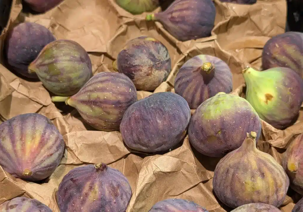 Die Frucht der Versuchung: Warum die Feige mehr als nur eine kulinarischer Leckerbissen im Spätsommer ist Die Frucht der Versuchung: Warum die Feige mehr als nur eine kulinarischer Leckerbissen im Spätsommer ist