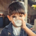pexels-samer-daboul-1210005.jpg