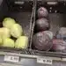 Weißkohl und Rotkohl im Supermarkt